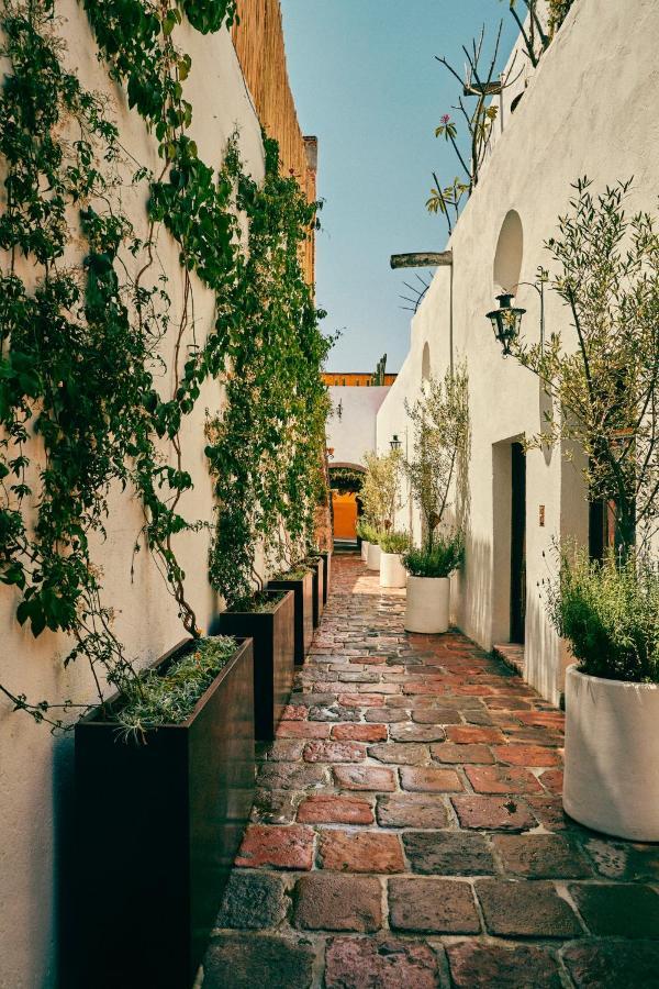 Hotel Meson Hidalgo San Miguel de Allende Exteriér fotografie